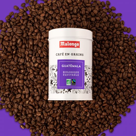 cafe-grains-bio-equitable-guatemala-malongo