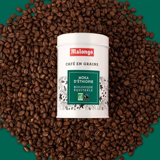 café-grains-Ethiopie-Malongo